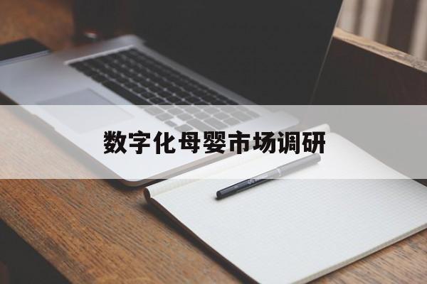 汉中市数字化母婴市场调研(数字化母婴市场调研报告)